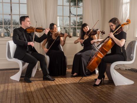 - Northern String Quartet