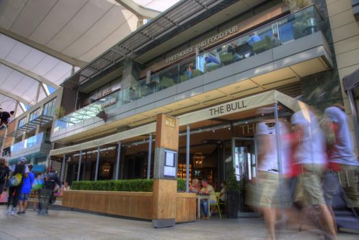- The Bull