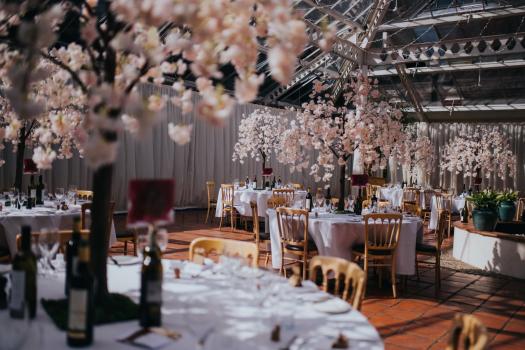 - Denbies Wine Estate