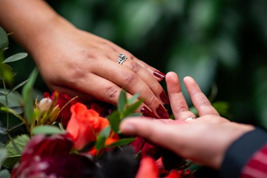 - Dream Pix Photography