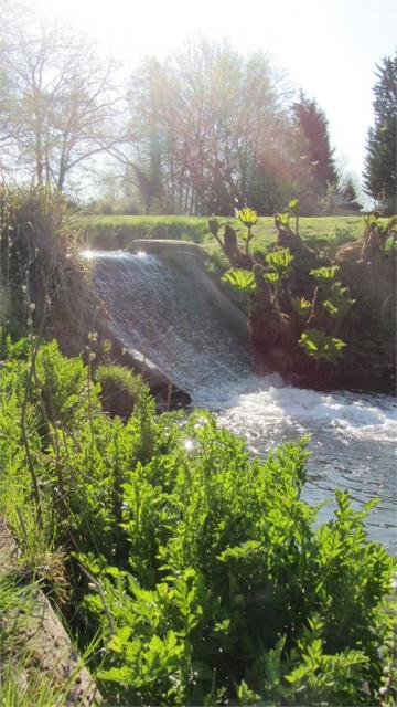 - Coltsford Mill Wedding Venue