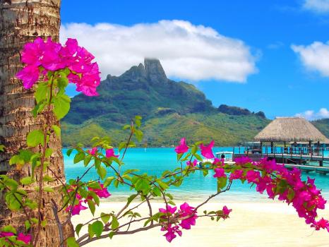 - Mauriutius Travel (UK) Ltd