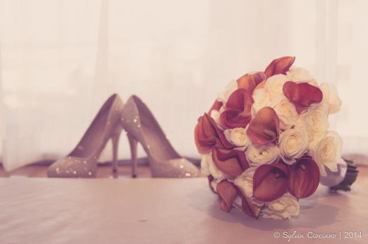 - Sylvia Ciociano Photography