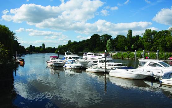 - The Wharf Restaurant & Bar