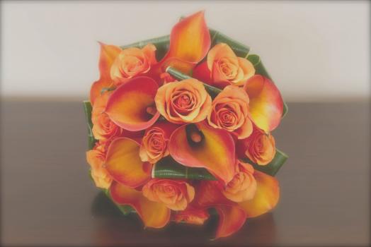 - Nick Allsop Photography