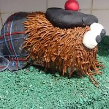 - cafe at kilcreggan